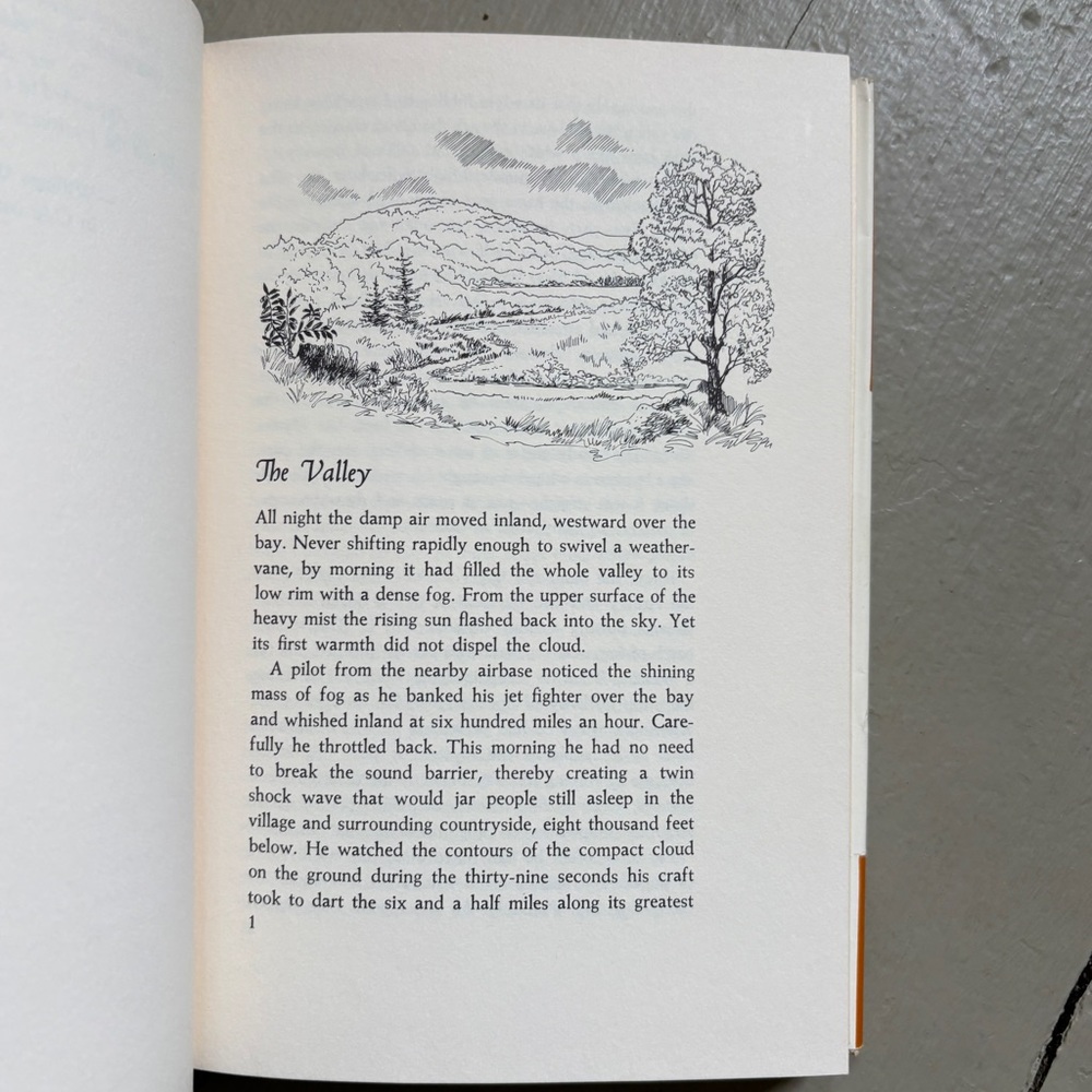 Signed 1963 The Valley Meadow Grove Stream Durham NH Oyster River New Hampshire - Picture 5 of 13
